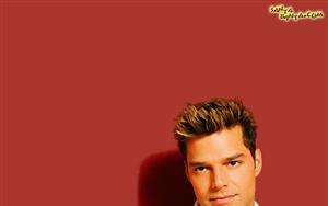 Ricky Martin